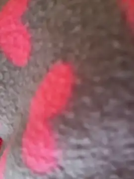 Noviostoxico online show from 01/15/26, 02:10