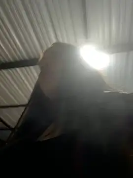 Snapshot of aliensexy chatting on 12/25/24, 04:33 aliensexy online show from 12/25/24, 04:33