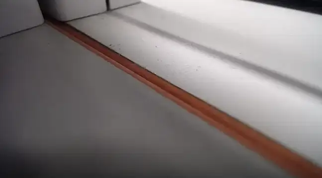 Lovensetest online show from 02/24/25, 09:21