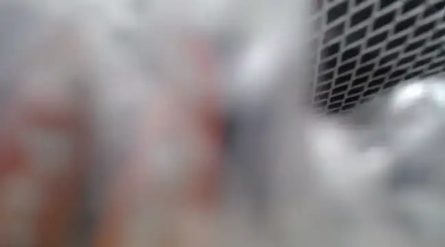 Lovensetest online show from 02/26/25, 07:09