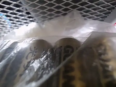 Lovensetest online show from 09/30/25, 07:35