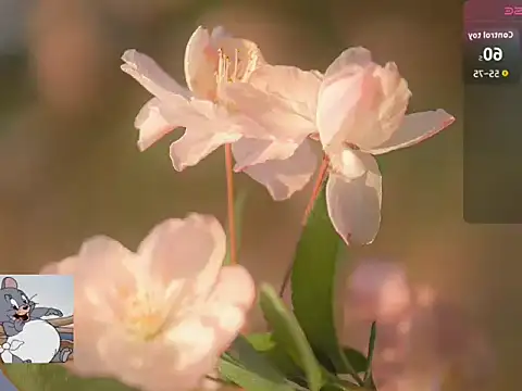 Lovensetest online show from 10/22/25, 07:19