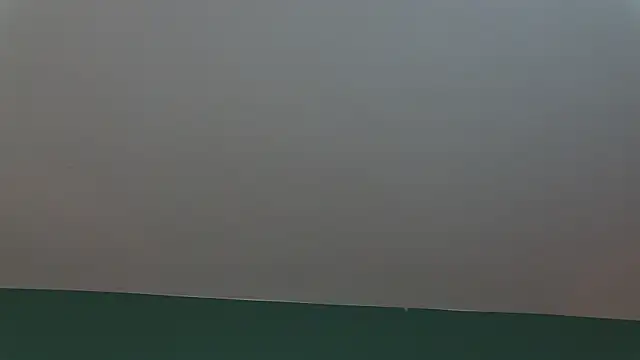 Snapshot of AlicePirs chatting on 01/25/25, 05:40 AlicePirs online show from 01/25/25, 05:40