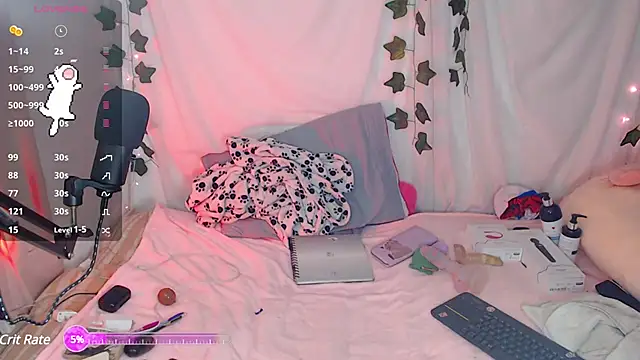 sophie north online show from 01/29/25, 01:28