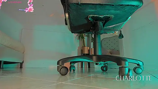 charlotte  grey online show from 11/28/25, 08:22