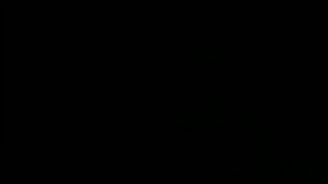 SensualJane2 online show from 01/05/25, 06:13