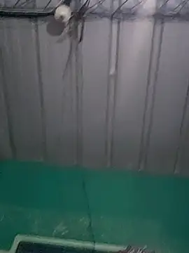 Snapshot of Cris29_84 chatting on 02/24/26, 08:23 Cris29 84 online show from 02/24/26, 08:23