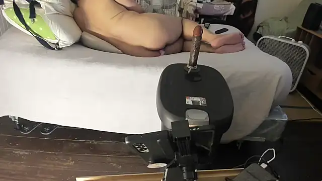 poyabig online show from 01/01/25, 09:20