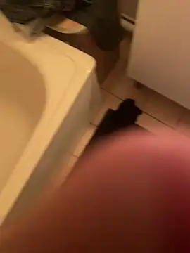 Snapshot of dimitriei chatting on 12/07/24, 12:08 dimitriei online show from 12/07/24, 12:08