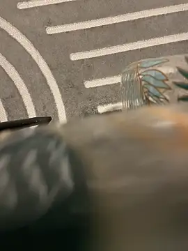 Snapshot of dimitriei chatting on 11/15/25, 06:22 dimitriei online show from 11/15/25, 06:22