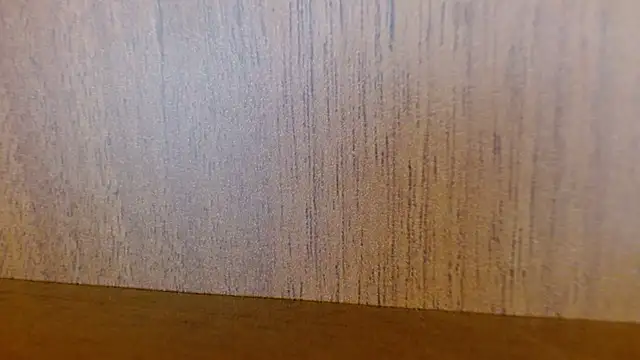 Snapshot of _SamanthaDoll_ chatting on 12/22/24, 07:00  SamanthaDoll  online show from 12/22/24, 07:00