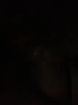 Snapshot of ThickD619 chatting on 12/11/24, 12:23 ThickD619 online show from 12/11/24, 12:23