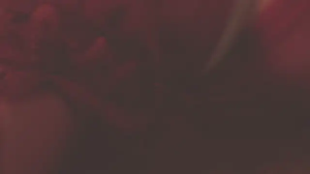 oxiris 1 online show from 01/16/25, 01:48