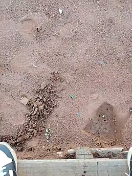 Snapshot of TornadoStorm35 chatting on 03/30/26, 01:56 TornadoStorm35 online show from 03/30/26, 01:56