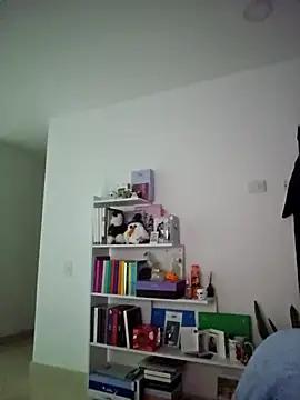 Snapshot of azumiichan chatting on 12/20/24, 04:31 azumiichan online show from 12/20/24, 04:31