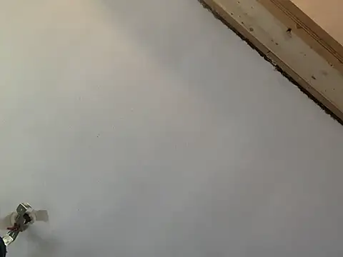 Brando2585 online show from 03/07/26, 02:03