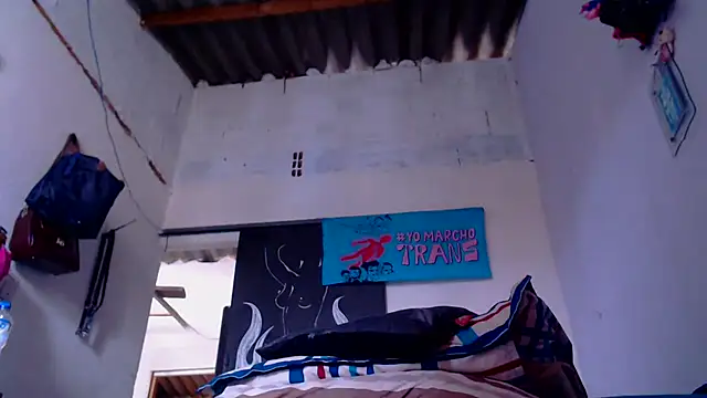 Zafiro subversiva online show from 01/08/26, 02:41