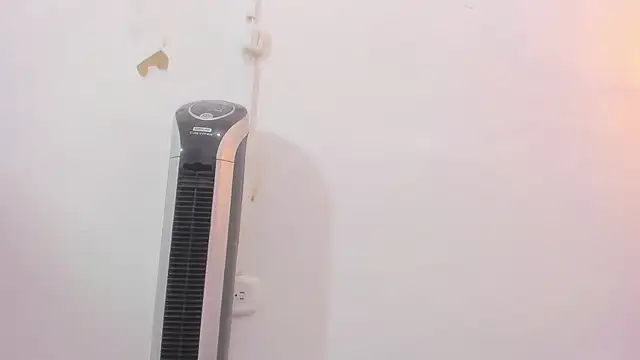 Snapshot of penelope_handaos chatting on 12/12/24, 05:31 penelope handaos online show from 12/12/24, 05:31