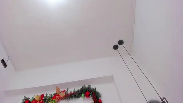 Snapshot of penelope_handaos chatting on 12/13/24, 09:46 penelope handaos online show from 12/13/24, 09:46