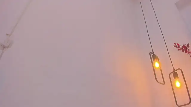 Snapshot of penelope_handaos chatting on 12/28/24, 08:26 penelope handaos online show from 12/28/24, 08:26