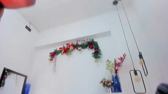 Snapshot of penelope_handaos chatting on 12/29/24, 12:12 penelope handaos online show from 12/29/24, 12:12