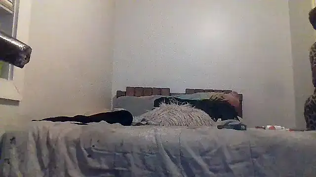 AllLeggs online show from 03/20/26, 03:33