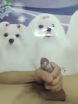 826687 online show from 03/02/26, 01:40