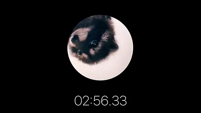 Snapshot of les_mod_sc2 chatting on 02/12/25, 01:59 les mod sc2 online show from 02/12/25, 01:59