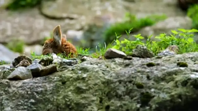 Snapshot of streamy_test13 chatting on 04/21/26, 01:17 streamy test13 online show from 04/21/26, 01:17