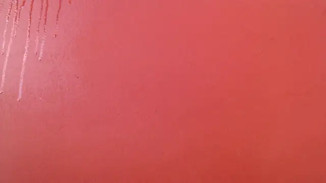 Freyja eter online show from 10/17/25, 02:19