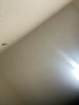 Malandralle online show from 02/21/26, 12:11