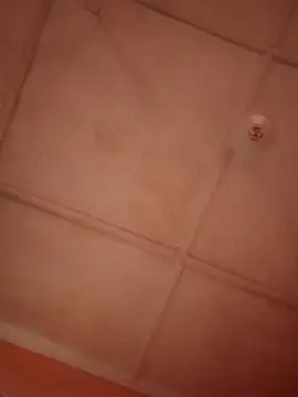 bebsexy online show from 12/14/25, 12:54