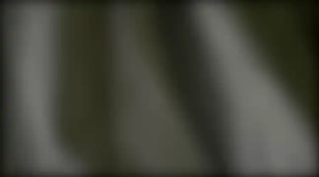 YoungHairyBi online show from 02/28/25, 08:42