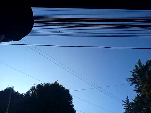 Snapshot of weedmanhot28 chatting on 01/30/25, 12:48 weedmanhot28 online show from 01/30/25, 12:48