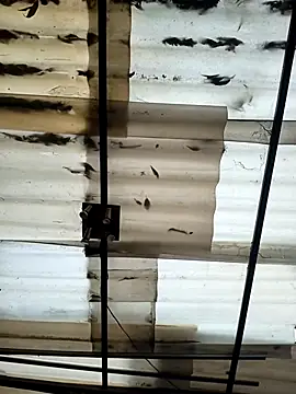 Snapshot of weedmanhot28 chatting on 09/21/25, 12:07 weedmanhot28 online show from 09/21/25, 12:07