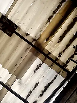 Snapshot of weedmanhot28 chatting on 11/02/25, 12:51 weedmanhot28 online show from 11/02/25, 12:51