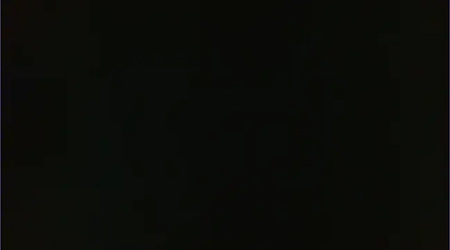 Geisha Seniers online show from 01/14/25, 03:15