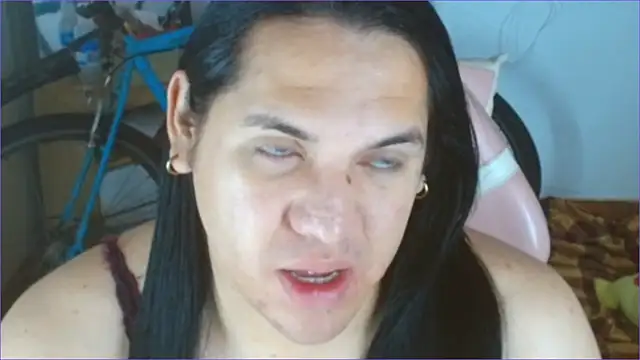 Geisha Seniers online show from 01/06/26, 11:36