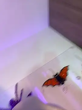 Snapshot of mikuru_hara chatting on 10/05/25, 02:10 mikuru hara online show from 10/05/25, 02:10