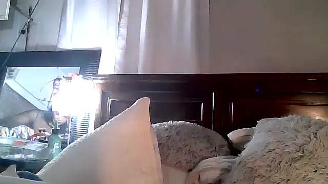 Snapshot of paiday chatting on 12/04/24, 12:08 paiday online show from 12/04/24, 12:08