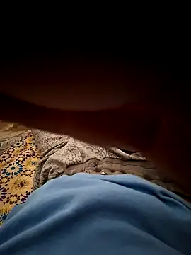 Snapshot of mehdi_haway chatting on 10/31/25, 03:02 mehdi haway online show from 10/31/25, 03:02