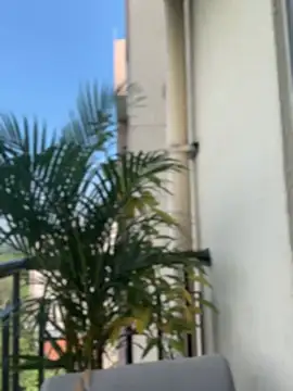 Pretty Isadora online show from 02/04/26, 08:03