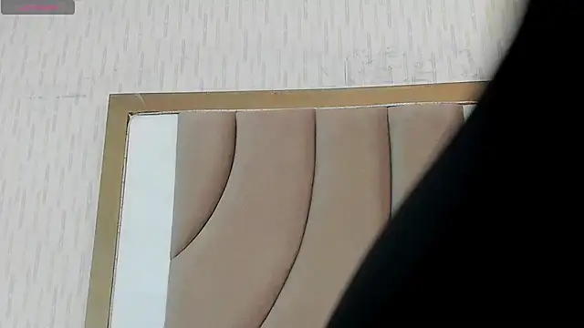 Snapshot of ThyaraJhons chatting on 03/03/25, 12:16 ThyaraJhons online show from 03/03/25, 12:16