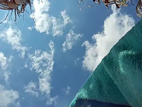 Snapshot of natally_ross21 chatting on 12/08/24, 03:45 natally ross21 online show from 12/08/24, 03:45