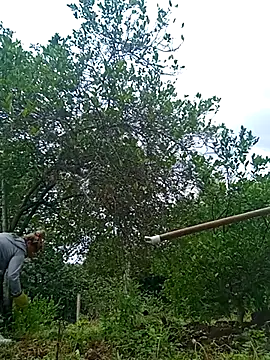 Snapshot of natally_ross21 chatting on 02/21/25, 12:50 natally ross21 online show from 02/21/25, 12:50