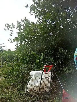 natally ross21 online show from 03/20/26, 01:16