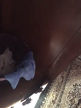 TangoingSorbet online show from 11/02/25, 10:17