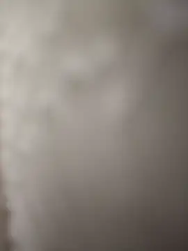 Snapshot of indianbull3684 chatting on 12/11/24, 08:07 indianbull3684 online show from 12/11/24, 08:07