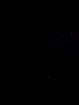 Snapshot of StaciGoodman chatting on 02/01/25, 01:44 StaciGoodman online show from 02/01/25, 01:44