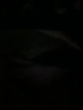 Ariel Ari online show from 02/01/26, 03:05